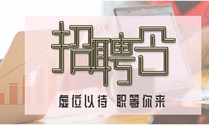 服务商户，致力发展—安徽分公司合肥滨湖店携手优质商户人才招聘会 